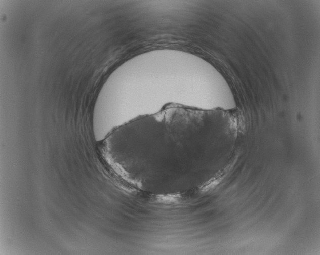 X0000068830573200605050921