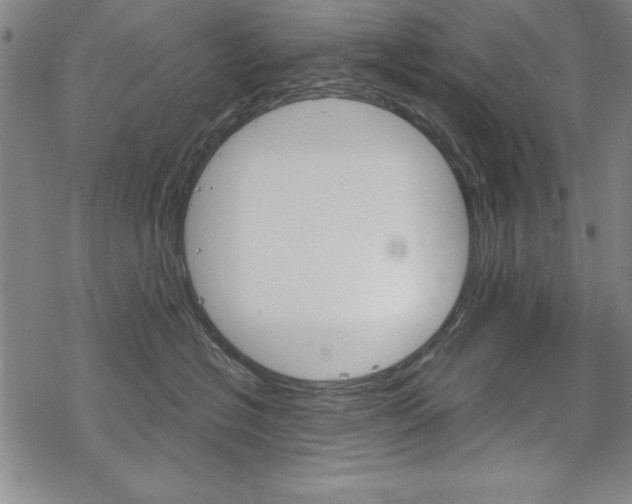 X0000068830574200605050921