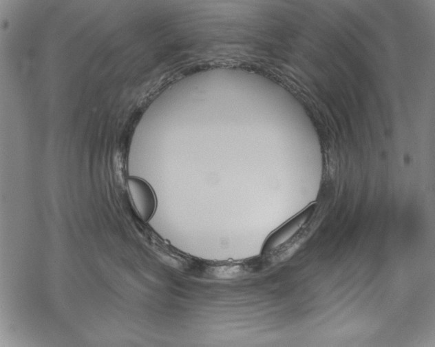 X0000068830575200605050921