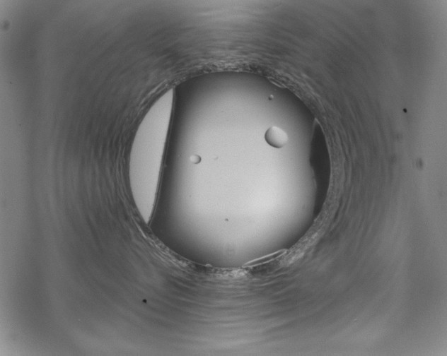 X0000068830576200605050921