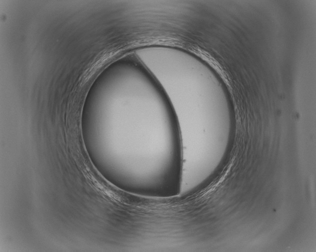 X0000068830577200605050920