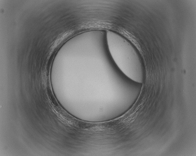 X0000068830578200605050920