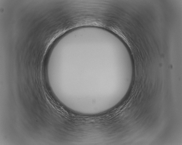 X0000068830579200605050920