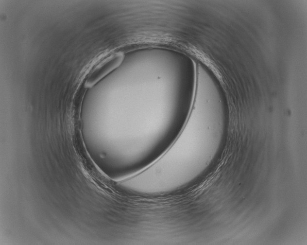 X0000068830580200605050920