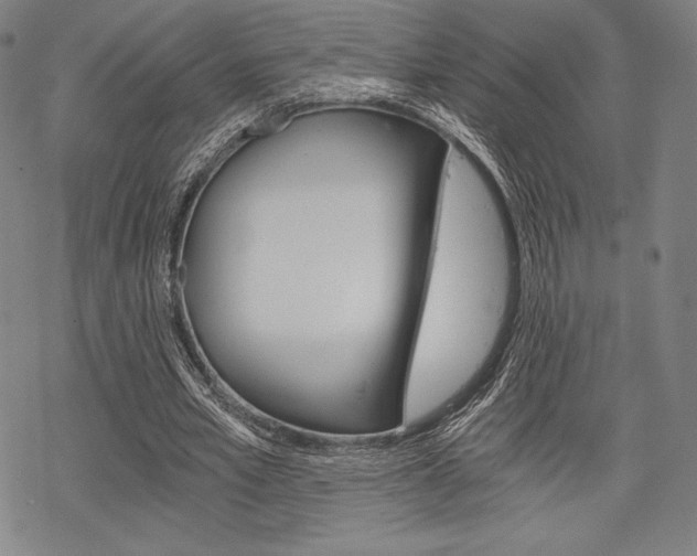 X0000068830581200605050920