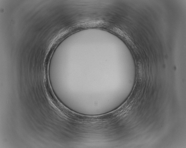 X0000068830582200605050920