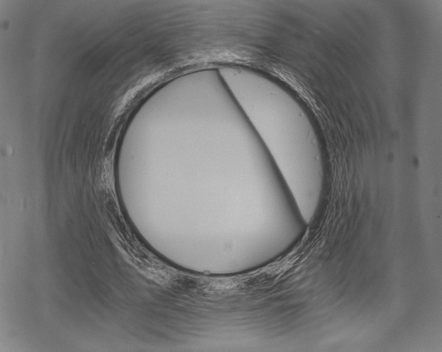 X0000068830583200605050920