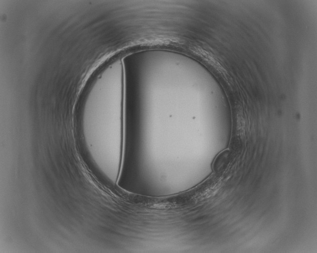 X0000068830584200605050920