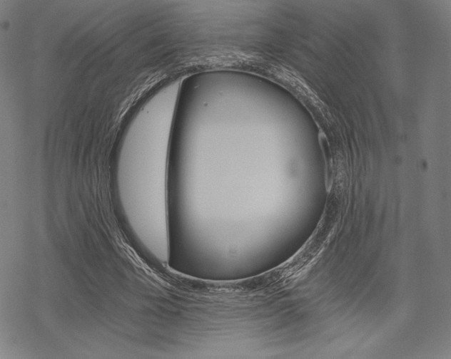 X0000068830585200605050920