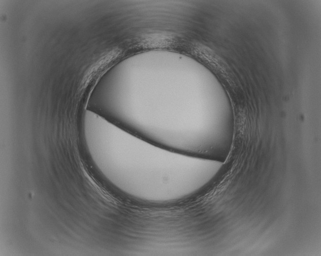 X0000068830586200605050920