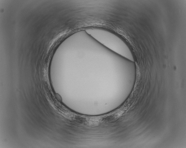 X0000068830587200605050920