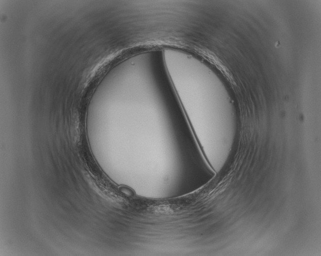 X0000068830588200605050920