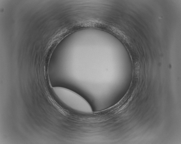 X0000068830589200605050920