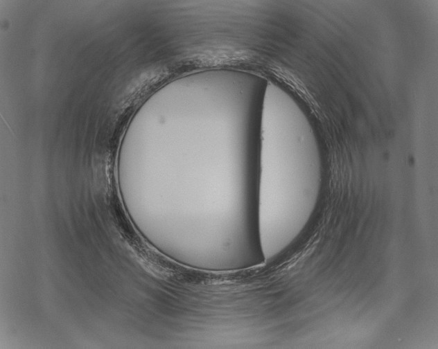 X0000068830590200605050920