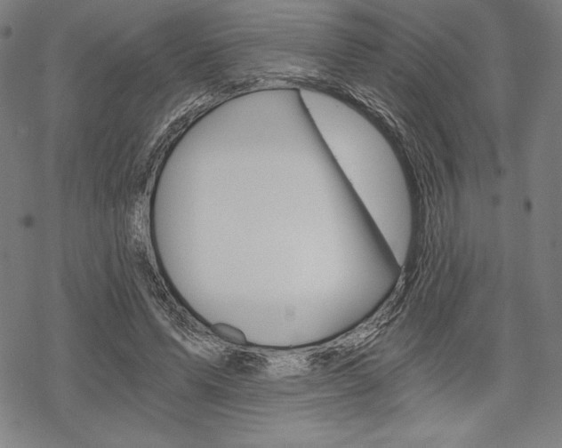 X0000068830591200605050920