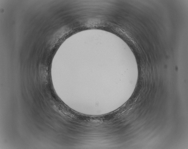 X0000068830592200605050920