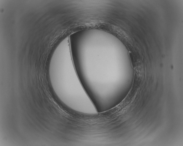 X0000068830593200605050920