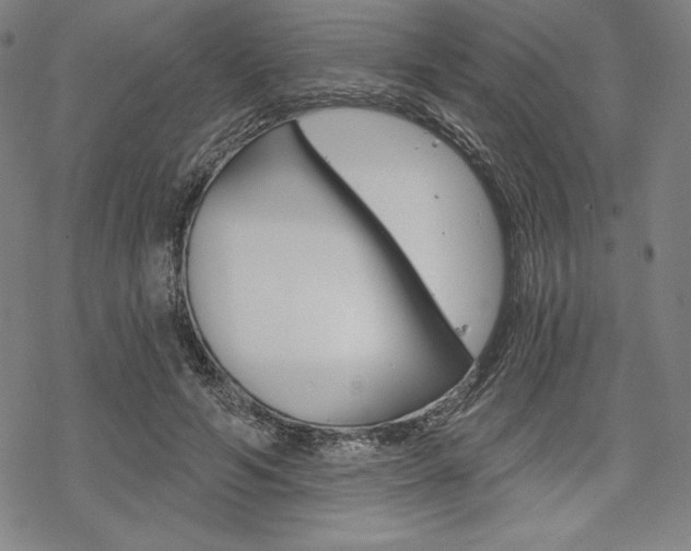 X0000068830594200605050920