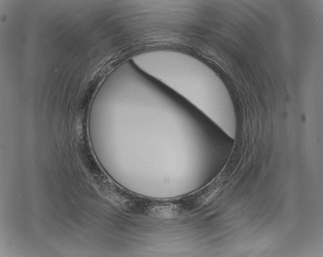 X0000068830595200605050920