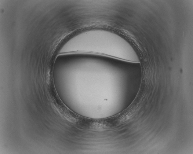 X0000068830596200605050920