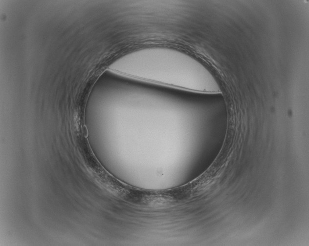 X0000068830597200605050920