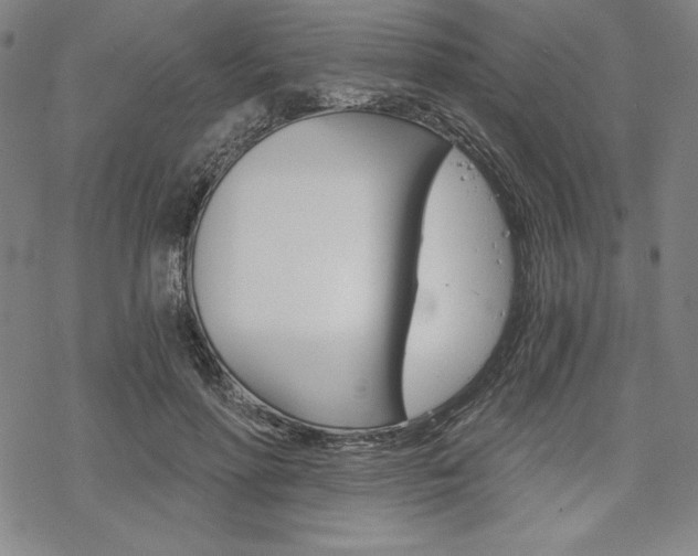 X0000068830598200605050920