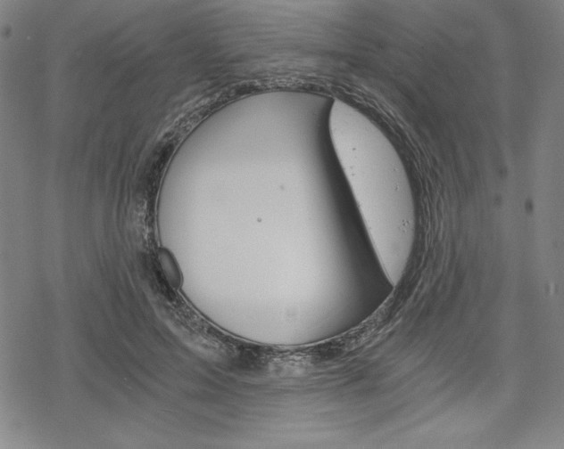 X0000068830599200605050920