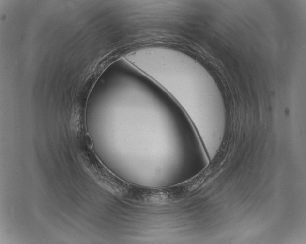 X0000068830600200605050920