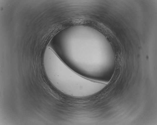 X0000068830601200605050920