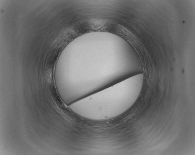 X0000068830602200605050920