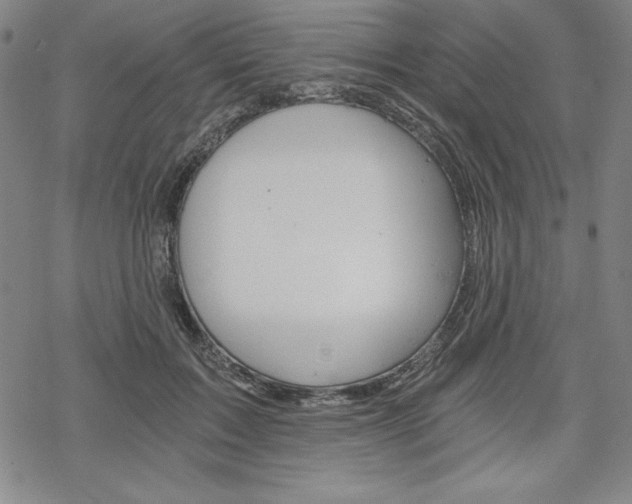 X0000068830603200605050920