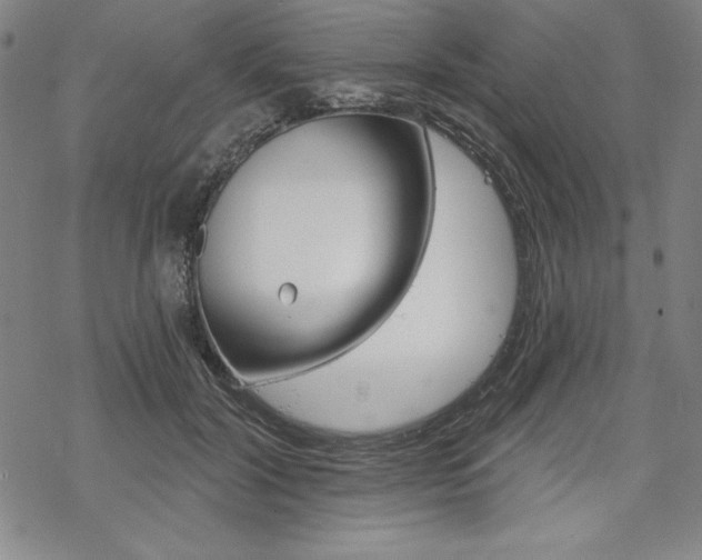 X0000068830604200605050920