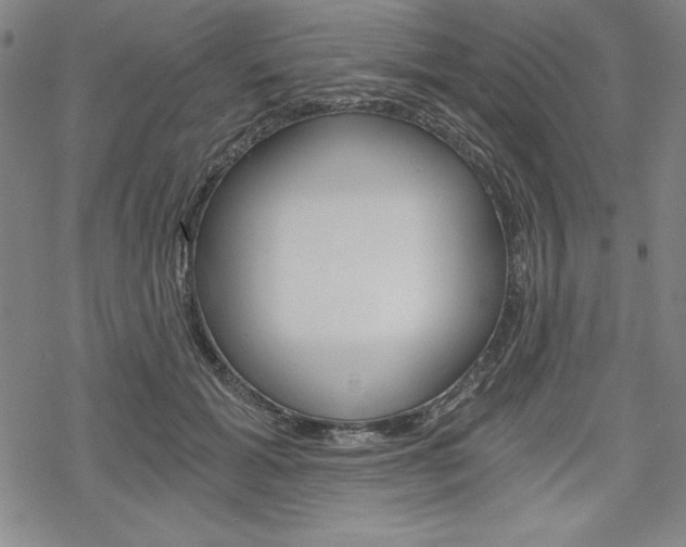 X0000068830605200605050920