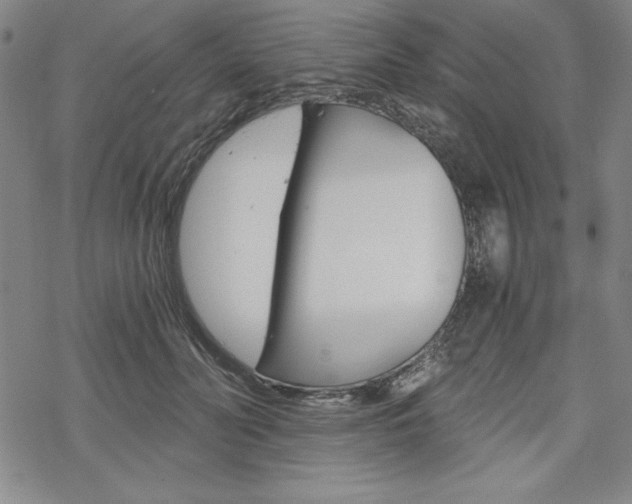 X0000068830606200605050920