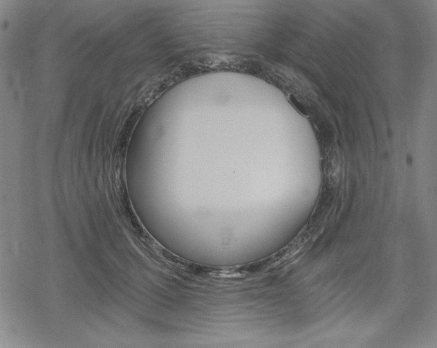 X0000068830607200605050920