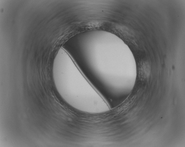 X0000068830608200605050920