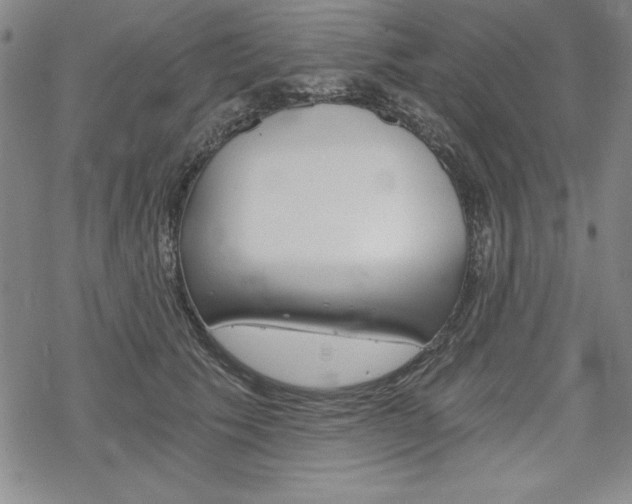 X0000068830609200605050920