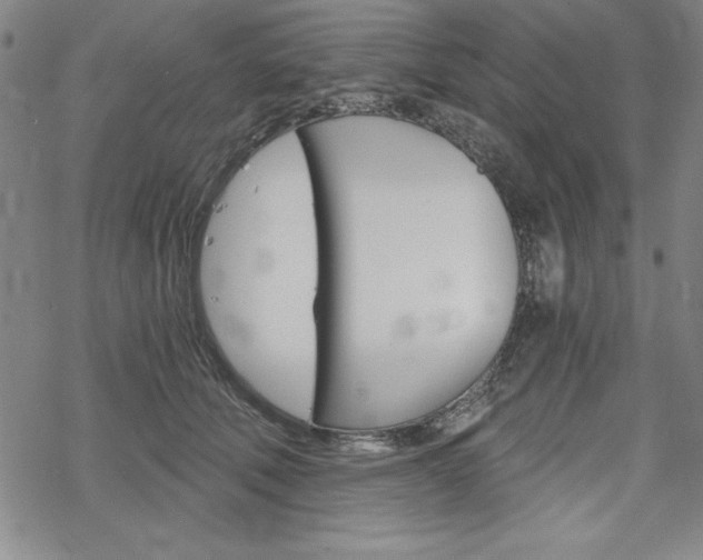 X0000068830610200605050920