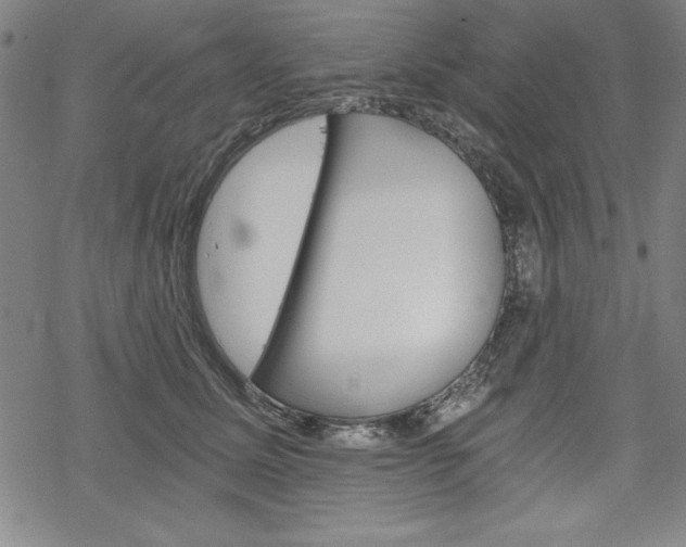 X0000068830611200605050920