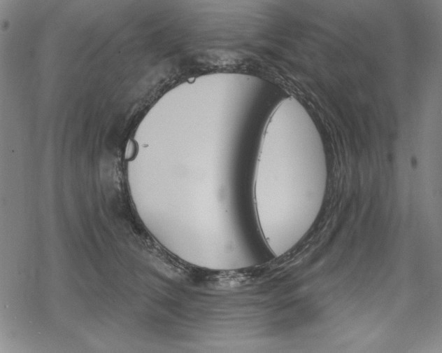 X0000068830612200605050920