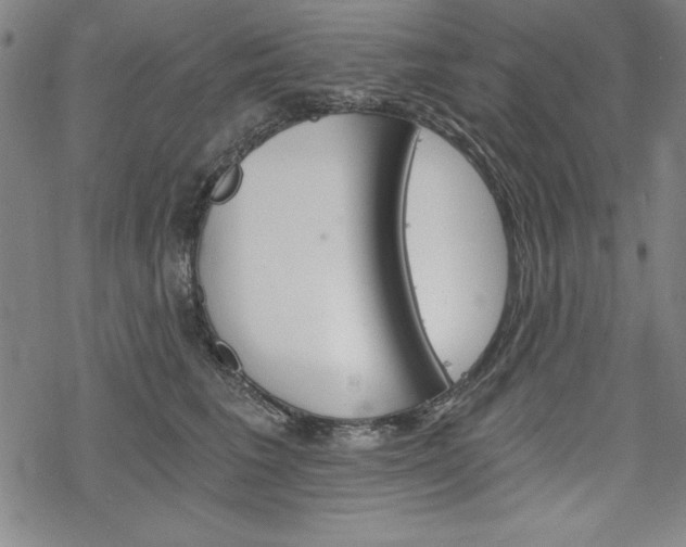 X0000068830613200605050920