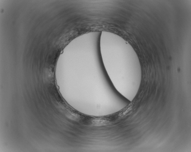 X0000068830614200605050920