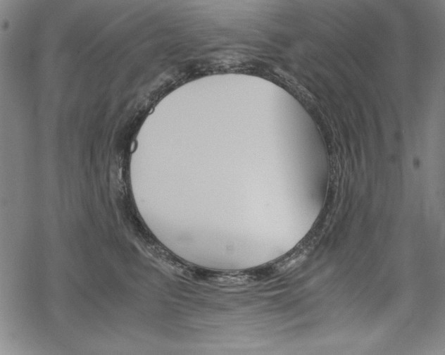 X0000068830615200605050920