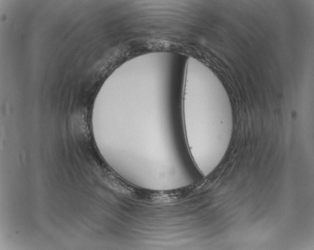 X0000068830616200605050920