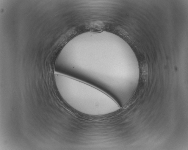 X0000068830617200605050920