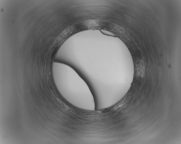 X0000068830618200605050920