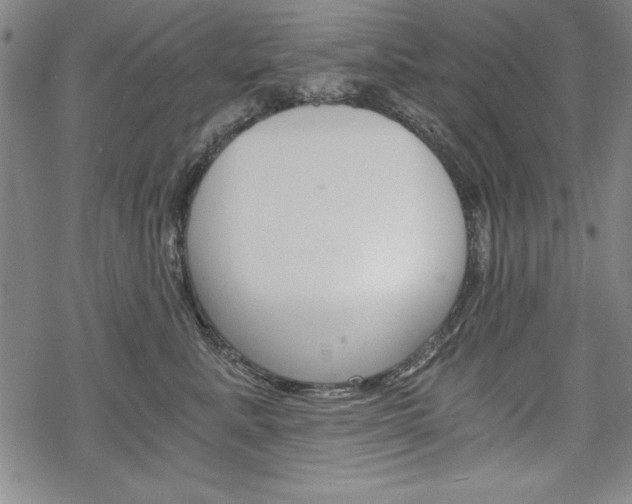 X0000068830619200605050920