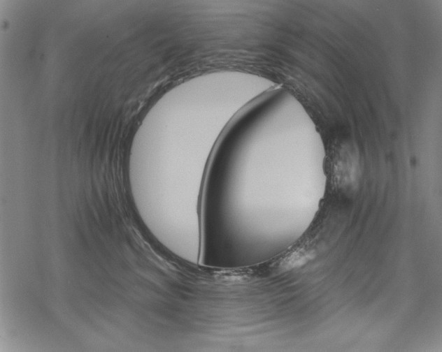 X0000068830620200605050920