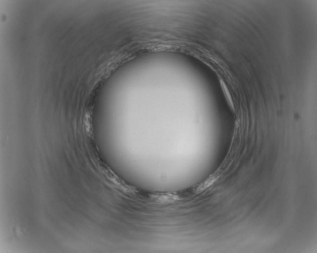 X0000068830621200605050920