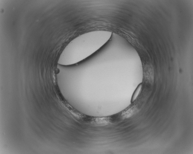 X0000068830622200605050920